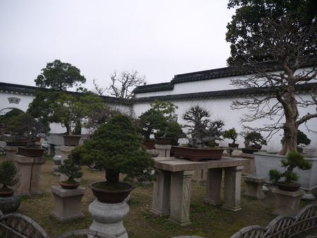 P1060822