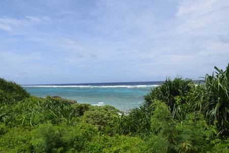 DSC_0291