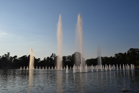 DSC_0667