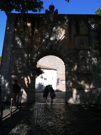 P1030565
