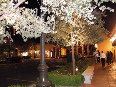 DSCN0100
