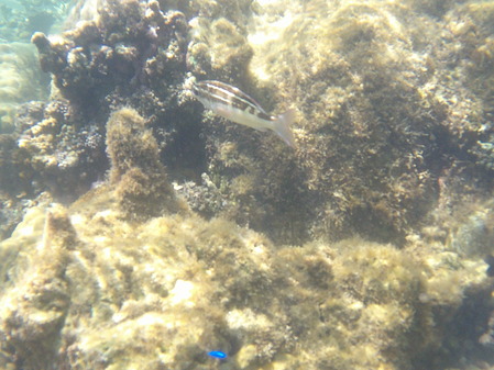 DSCF0273