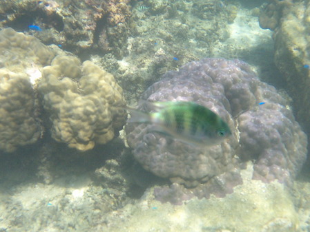 DSCF0274