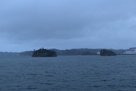 DSC_0534