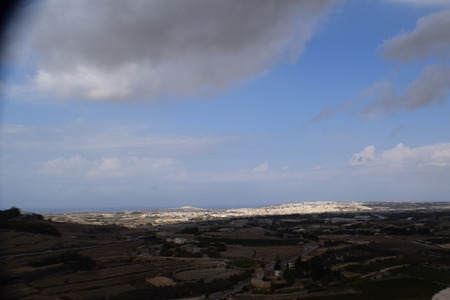 DSC_0876