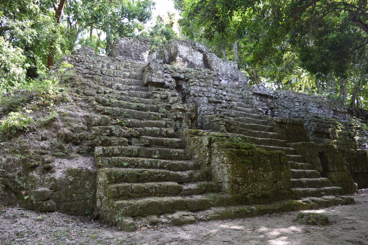 旅いちご 冬旅 グアテマラ 絶景と廃墟とコーヒーの旅 ティカル遺跡 失われた世界
