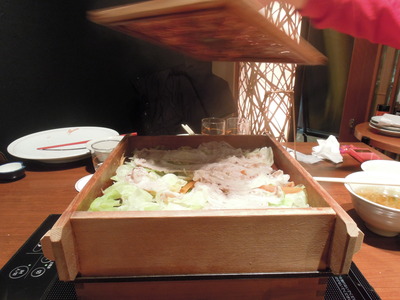 DSCN0662