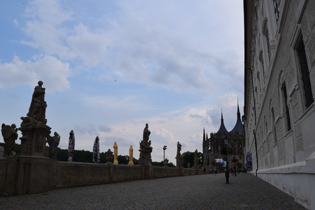 DSC_0461