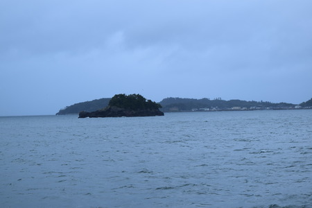 DSC_0548