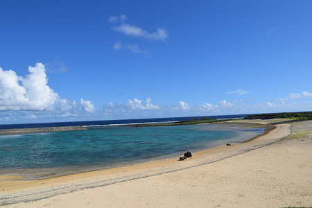 DSC_0343