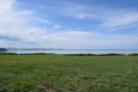 DSC_0982