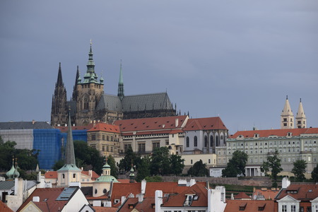 DSC_0462