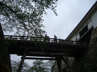 CIMG5384