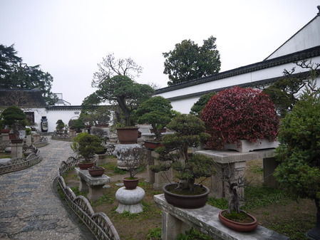 P1060821