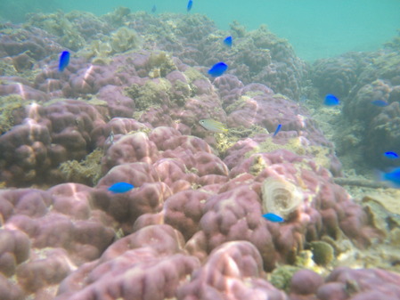 DSCF0199