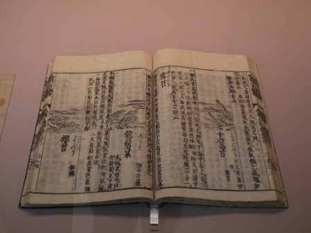 P1040826