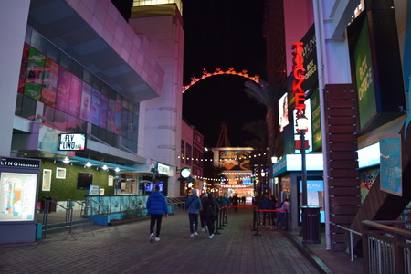 DSC_0539