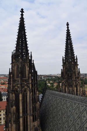 DSC_0651
