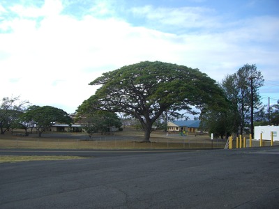 CIMG3544