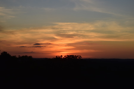 DSC_0596