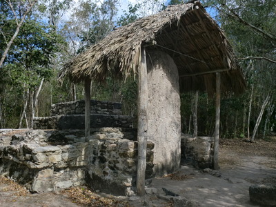 CIMG0772