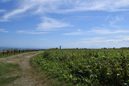 DSC_0955