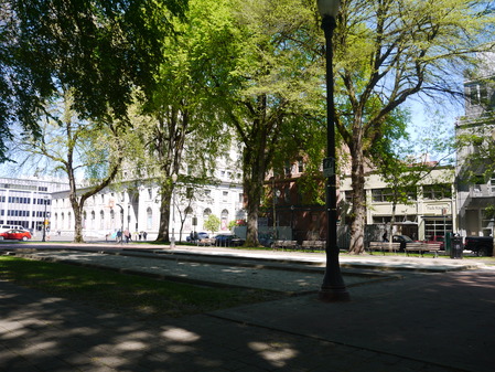 P1150544