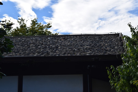 DSC_0004