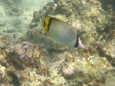 DSCF0276