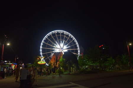 DSC_0996