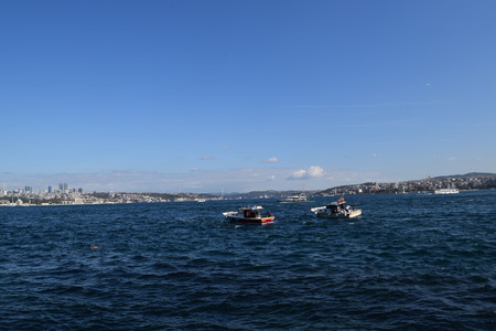DSC_0684