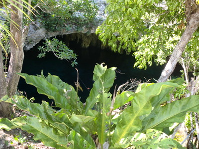 CIMG0546