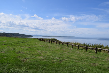 DSC_0979