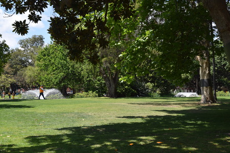 DSC_0139