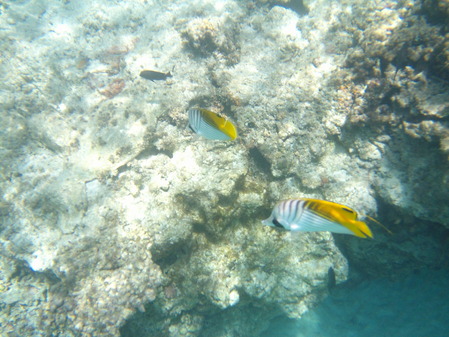 DSCF0084