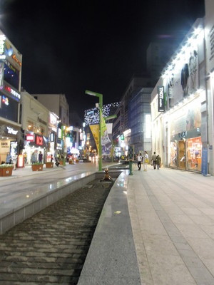 DSCN1039