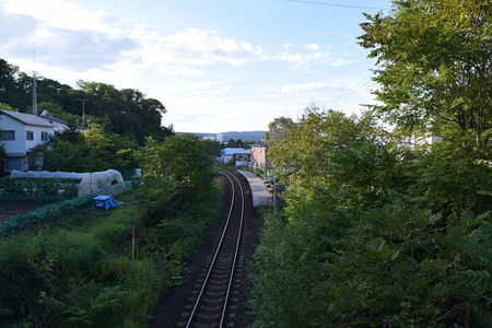 DSC_0040