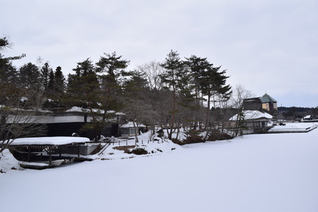 DSC_0020