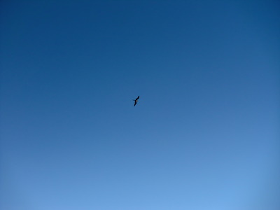 CIMG1081