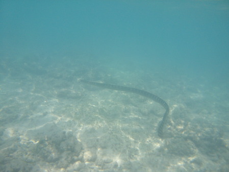 DSCF0094