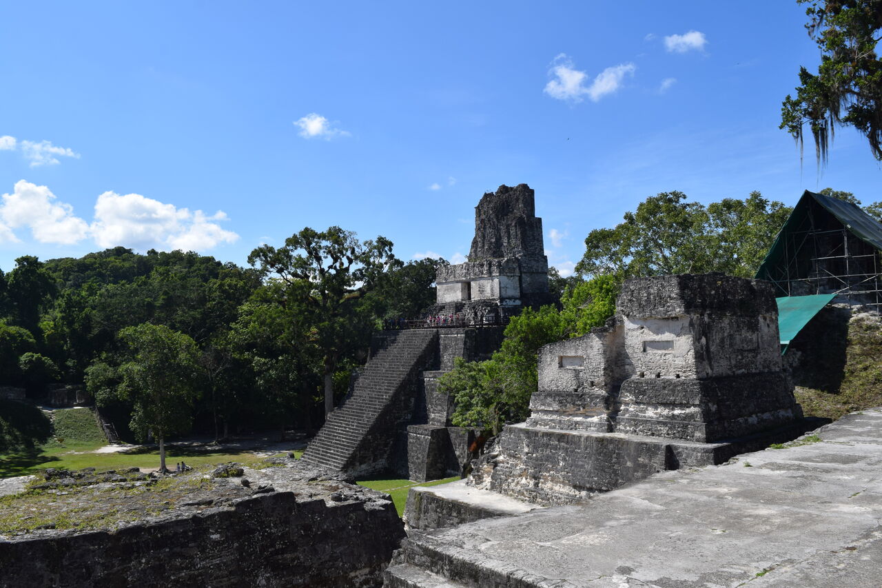 旅いちご 冬旅 グアテマラ 絶景と廃墟とコーヒーの旅 ティカル遺跡 北アクロポリス編