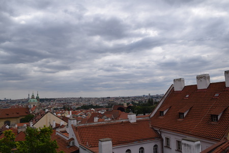 DSC_0831