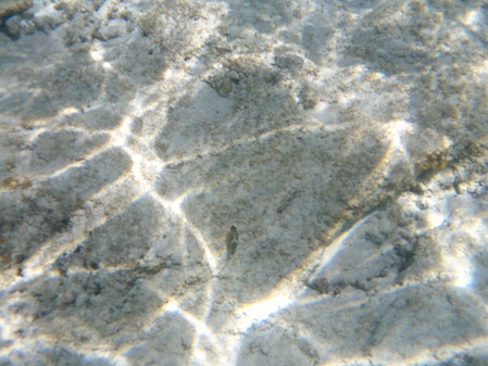 DSCF0022