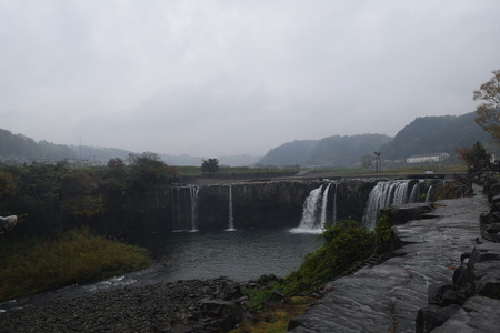 DSC_0084