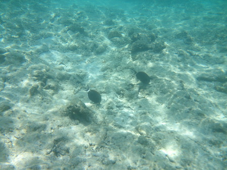 DSCF0076
