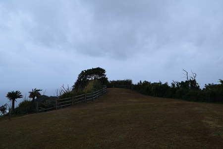 DSC_0518