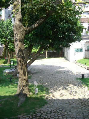 CIMG4492