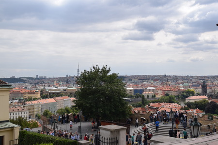 DSC_0787