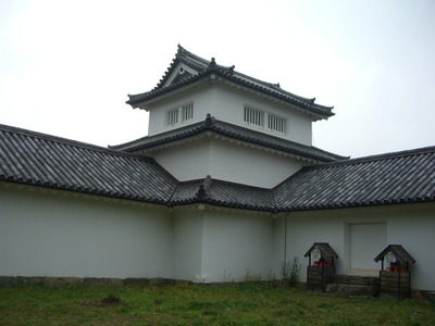 CIMG5391