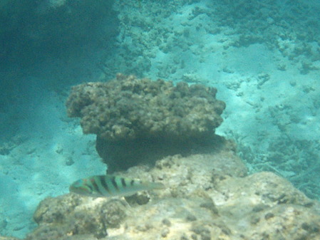 DSCF0050
